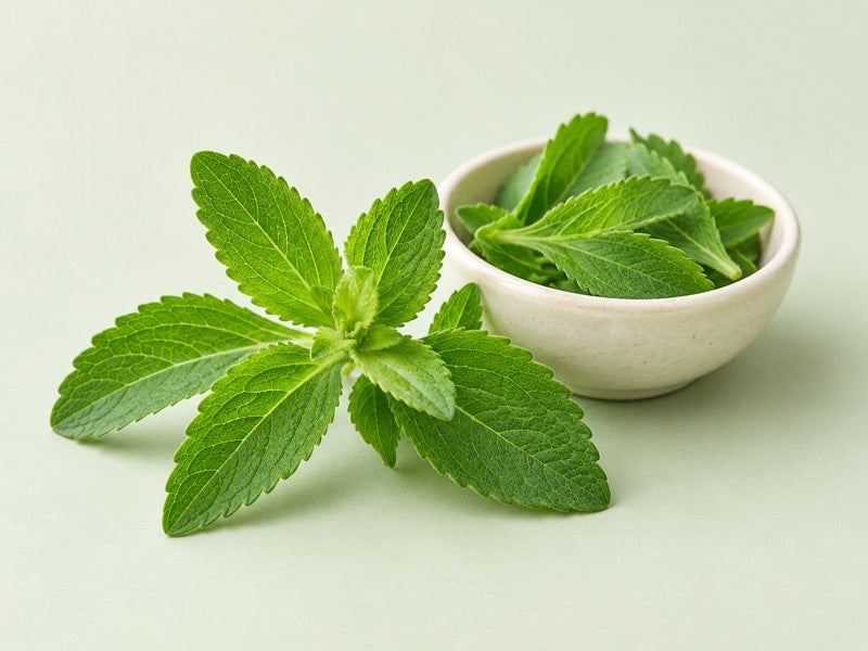 Hojas de stevia